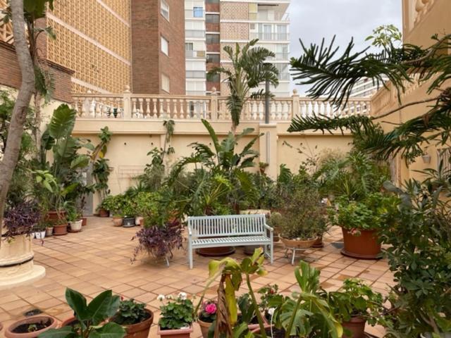 Precioso Apartamento A Estrenar En Primera Linea De Playa Benidorm Eksteriør bilde